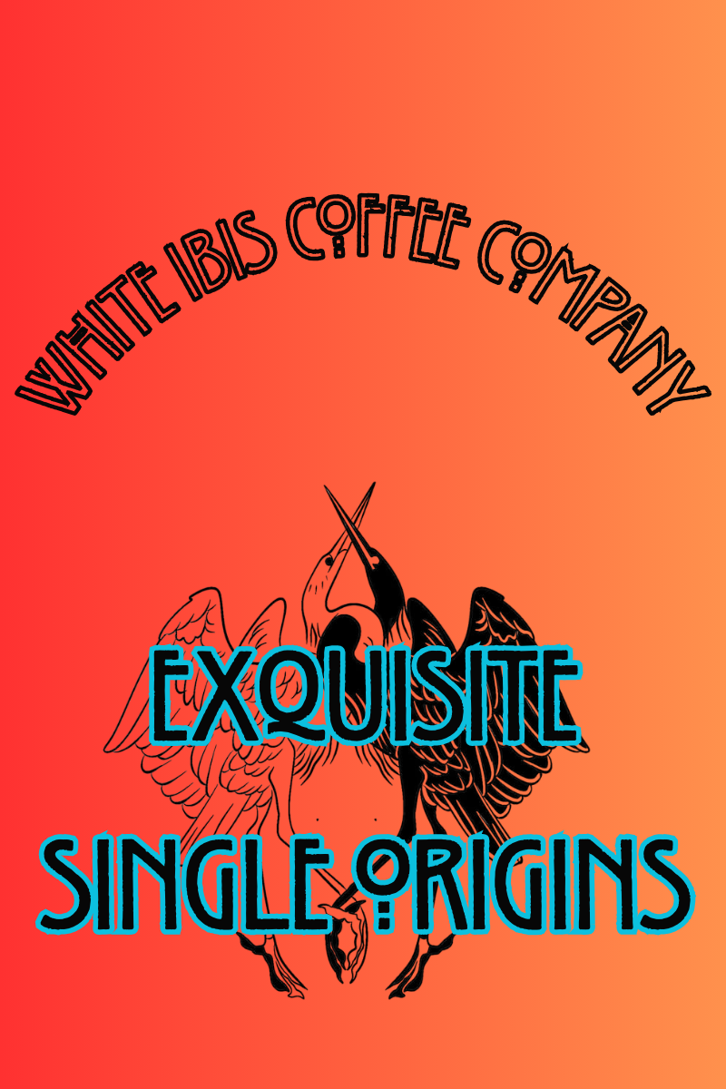 Fresh Roasted Single Origins