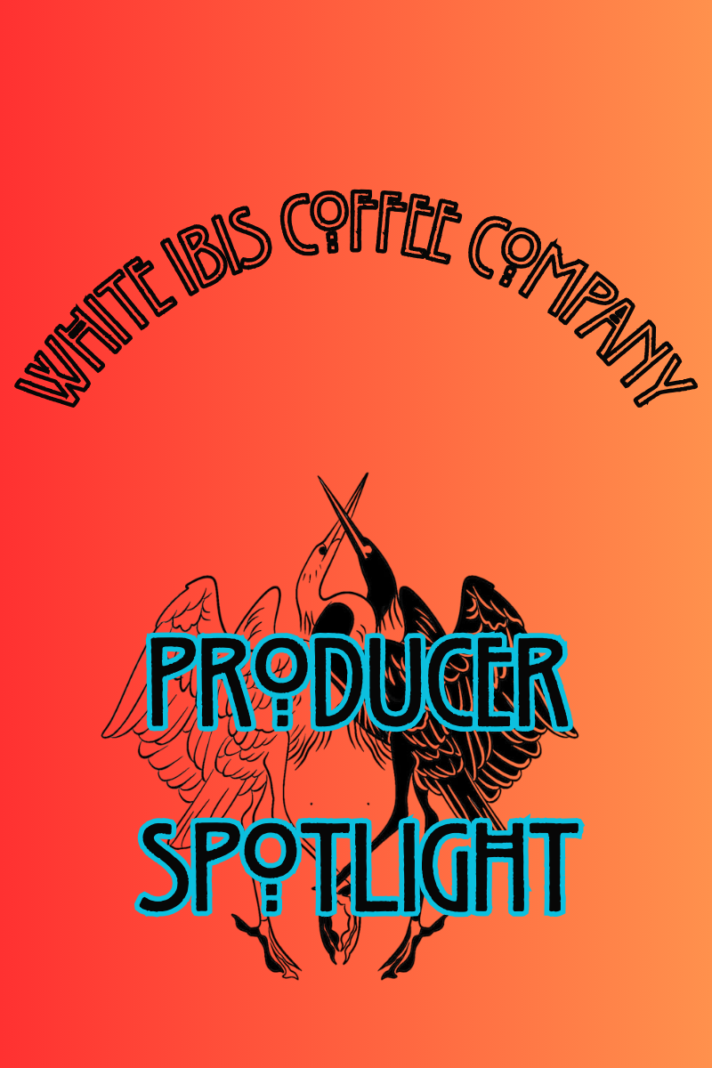 Producer Spotlight